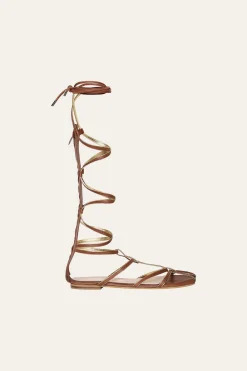 New Baquiana Gladiators In Brown Shoes